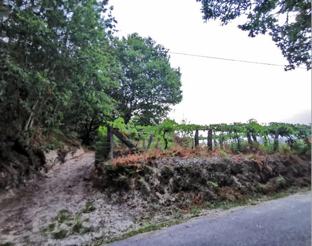 Terreno en venta en Tui, Pontevedra photo 3