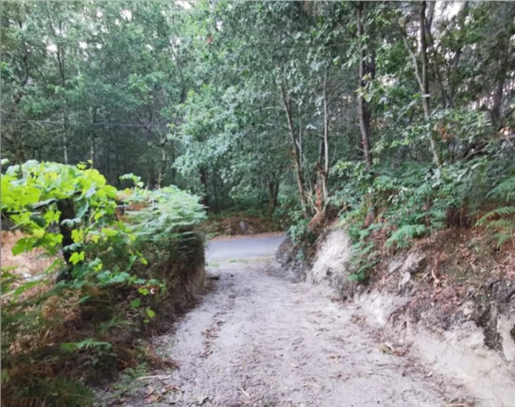 Terreno en venta en Tui, Pontevedra photo 4