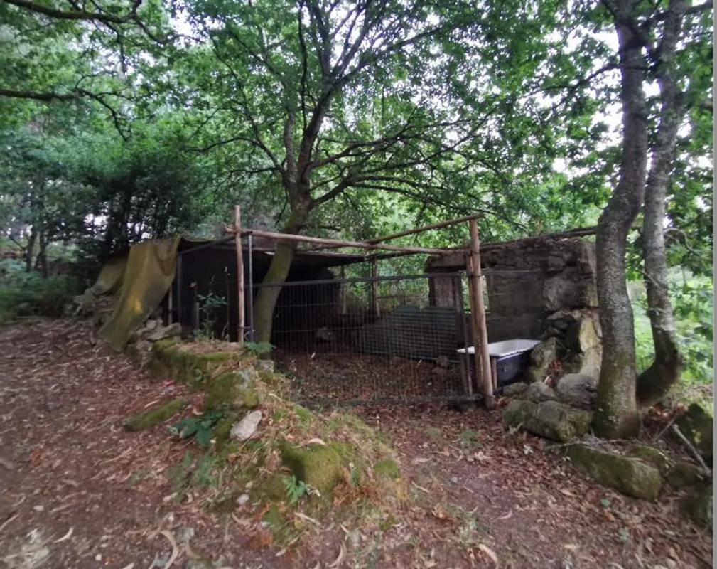Terreno en venta en Tui, Pontevedra photo 5
