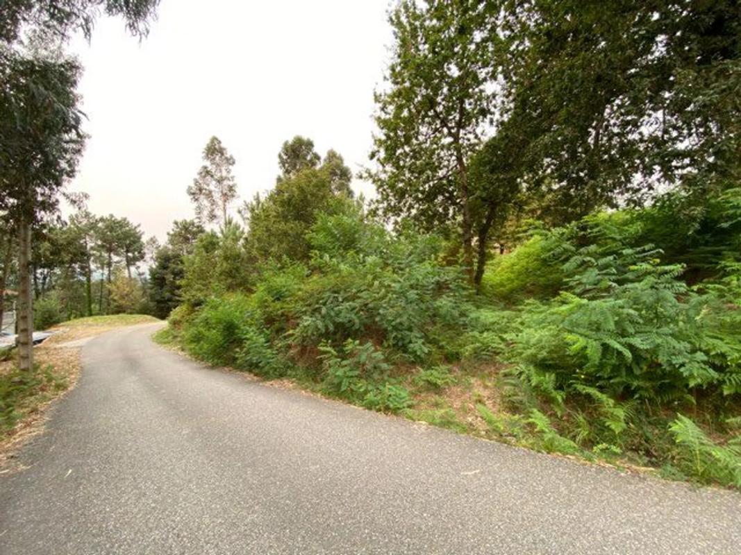 Land for sale in Tui, Pontevedra photo 2