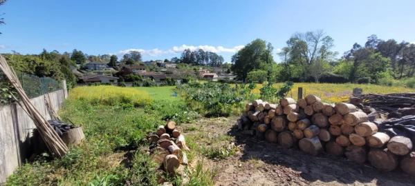 Terreno en Lg a Gandara photo 1