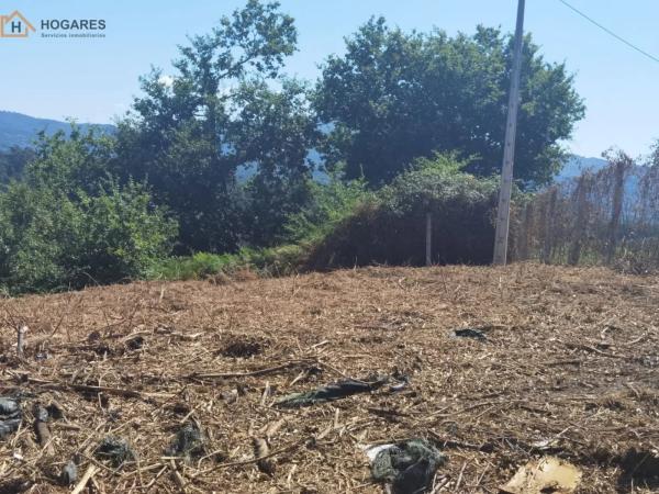 Terreno en Tomiño photo 1