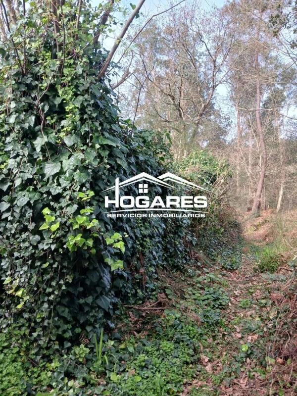 Land for sale in Tui, Pontevedra photo 5