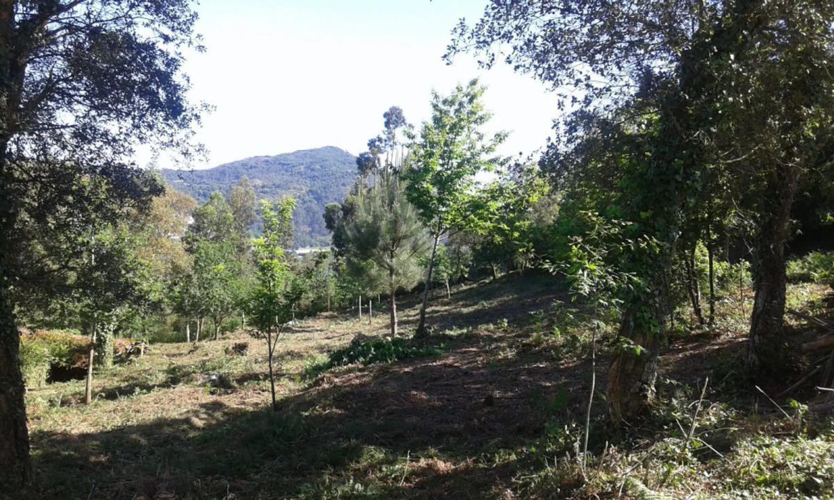 Land for sale in The Rosal, Pontevedra photo 2