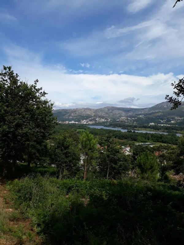 Land for sale in The Rosal, Pontevedra photo 3