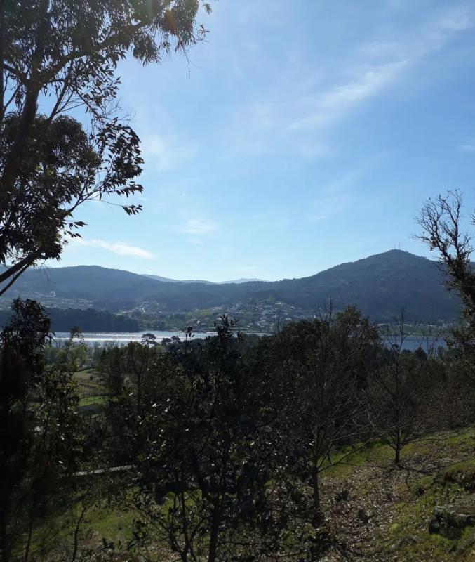 Land for sale in The Rosal, Pontevedra photo 4