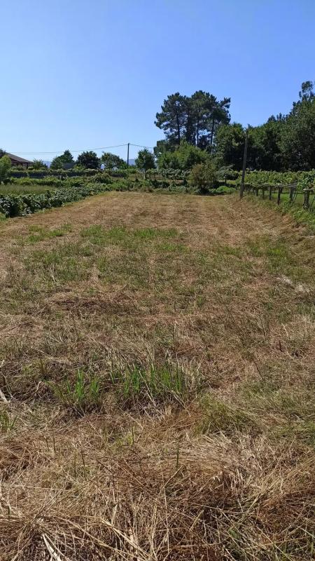 Terreno en venta en Tomiño, Pontevedra photo 1