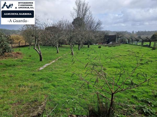 Terreno en solvado barrantes s/n photo 1