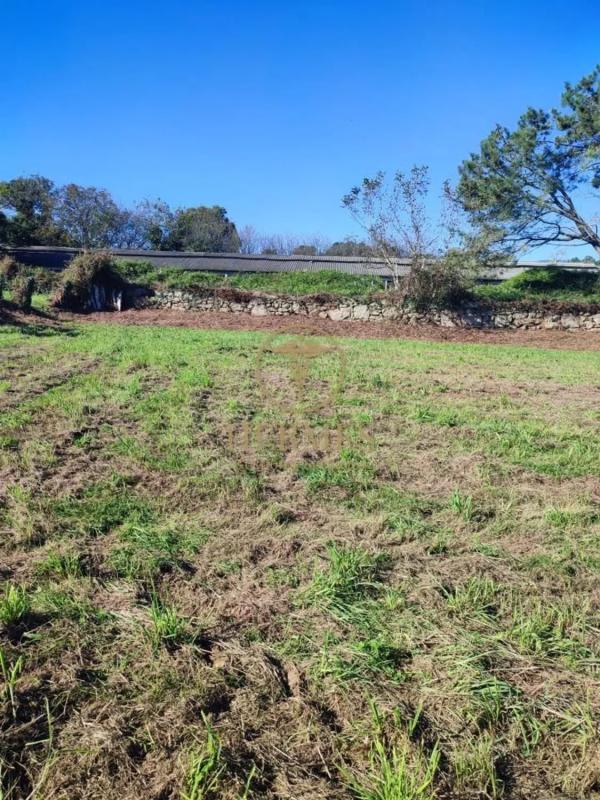 Terreno en venta en Tui, Pontevedra photo 5