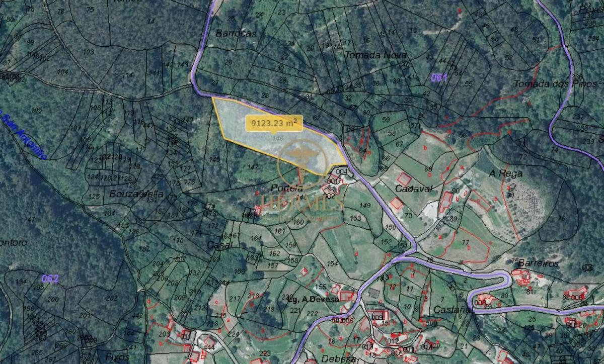 Land for sale in Tui, Pontevedra photo 2