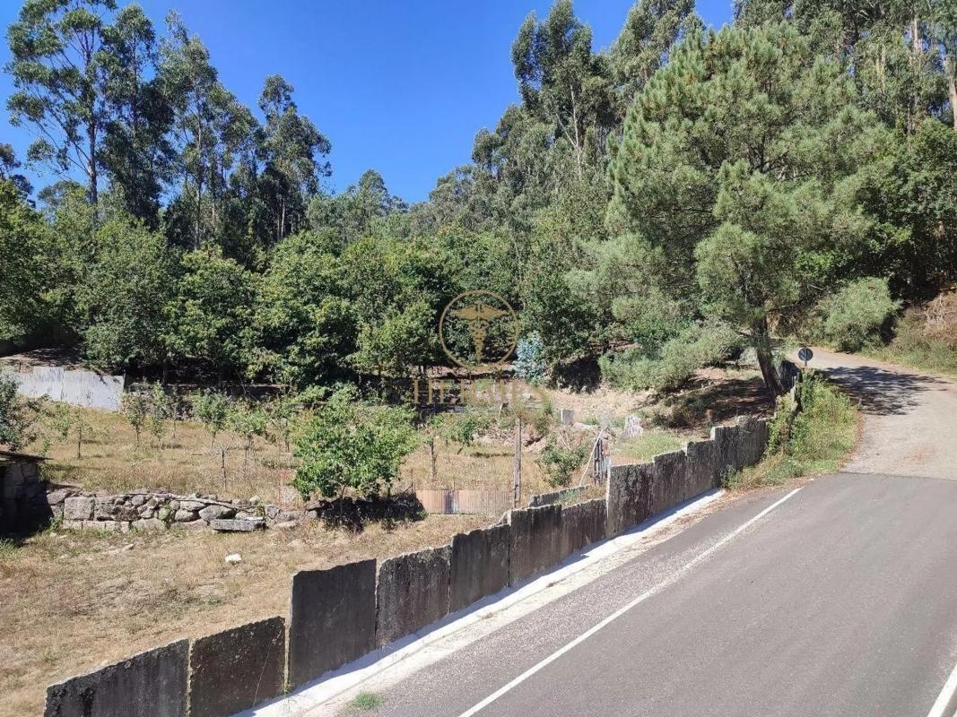 Land for sale in Tui, Pontevedra photo 4