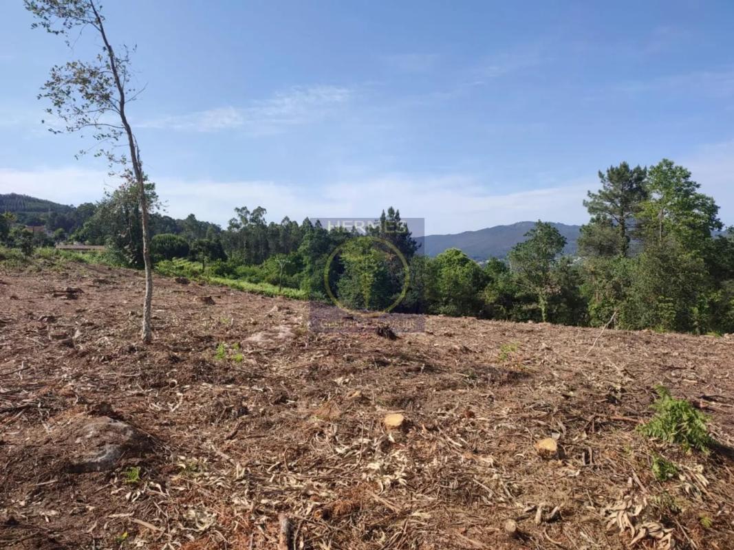Land for sale in Tui, Pontevedra photo 2