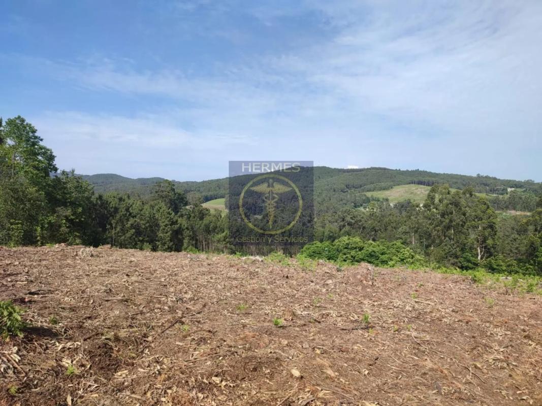 Land for sale in Tui, Pontevedra photo 3