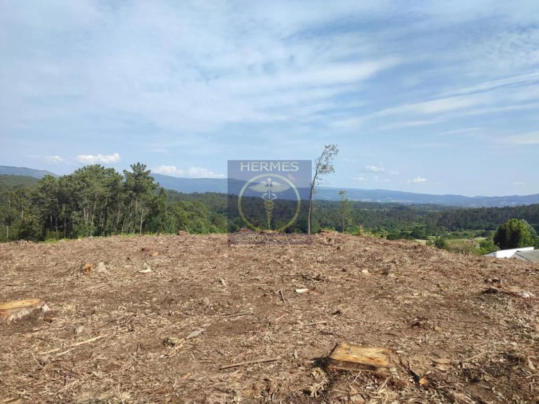 Land for sale in Tui, Pontevedra photo 5