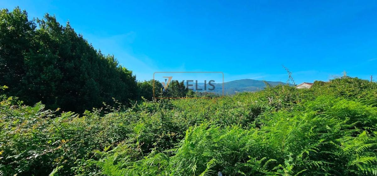 Land for sale in Tui, Pontevedra photo 2