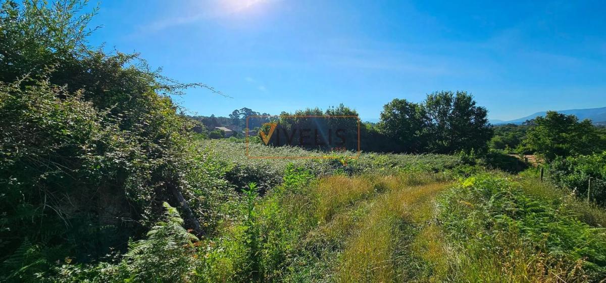 Land for sale in Tui, Pontevedra photo 3