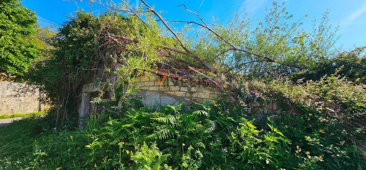 Land for sale in Tui, Pontevedra photo 4