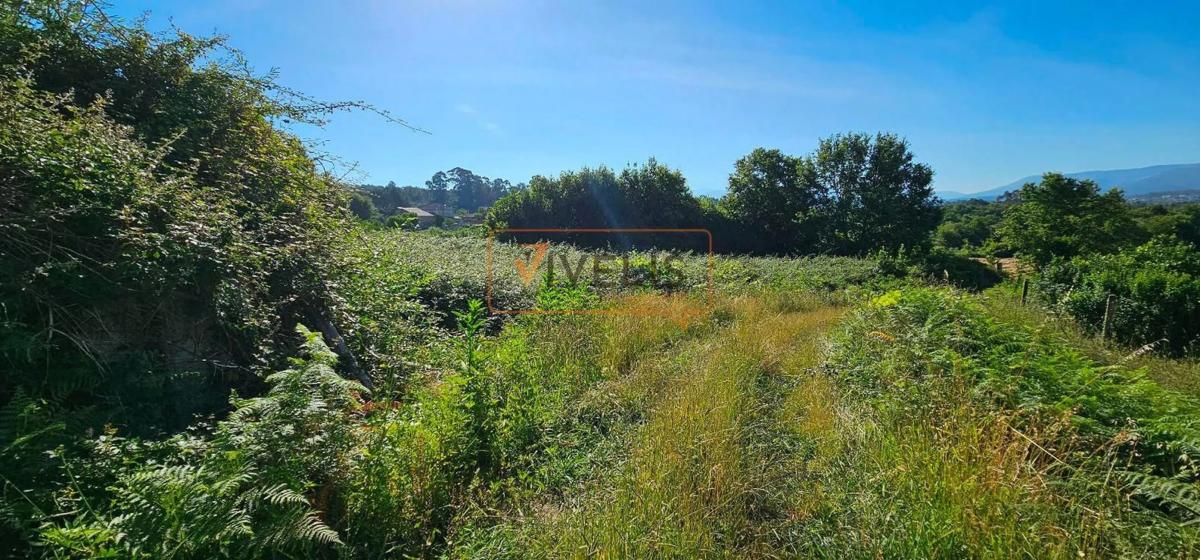Land for sale in Tui, Pontevedra photo 5