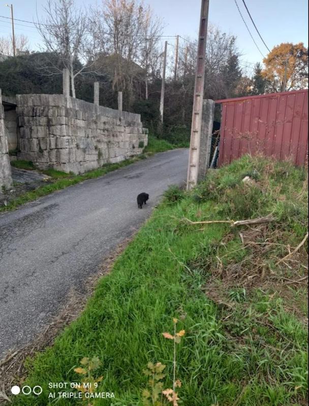 Land for sale in Tomiño, Pontevedra photo 4