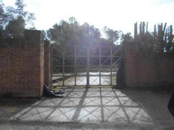 Terreno en Tomiño photo 3