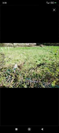 Terreno en Muros s/n photo