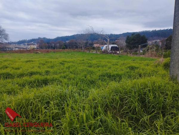 Terreno en Tabagon photo 4