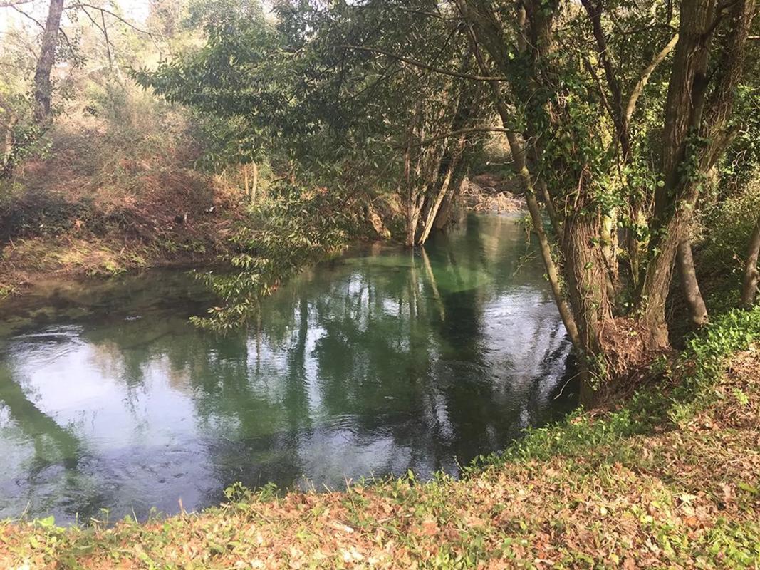 Land for sale in The Rosal, Pontevedra photo 4