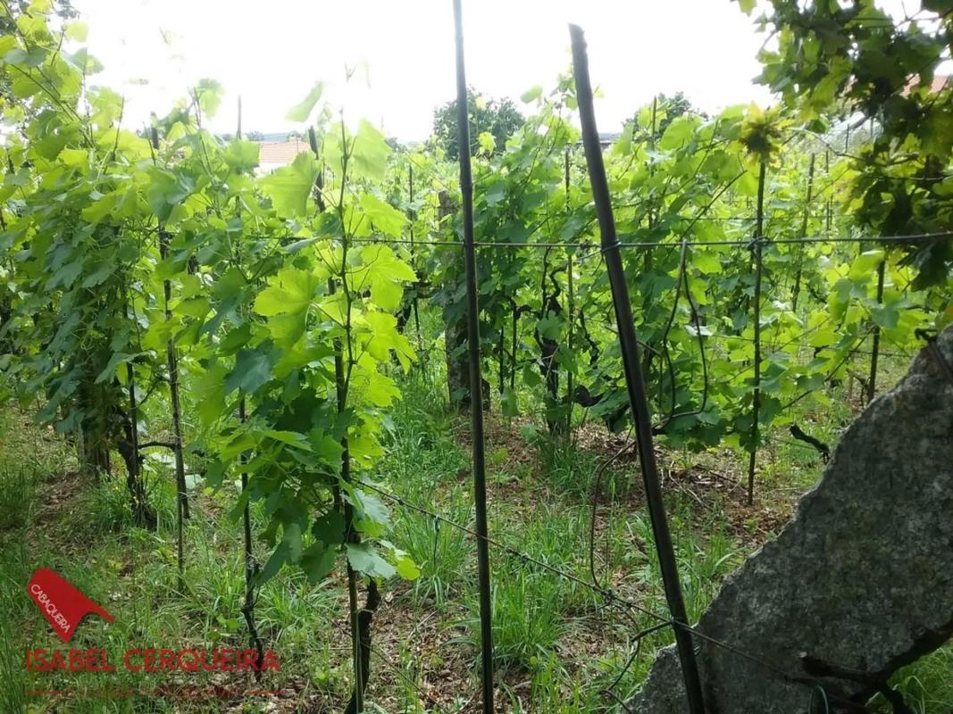 Land for sale in Tomiño, Pontevedra photo 4