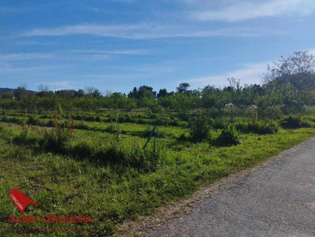 Terreno en venta en O Rosal, Pontevedra photo 2