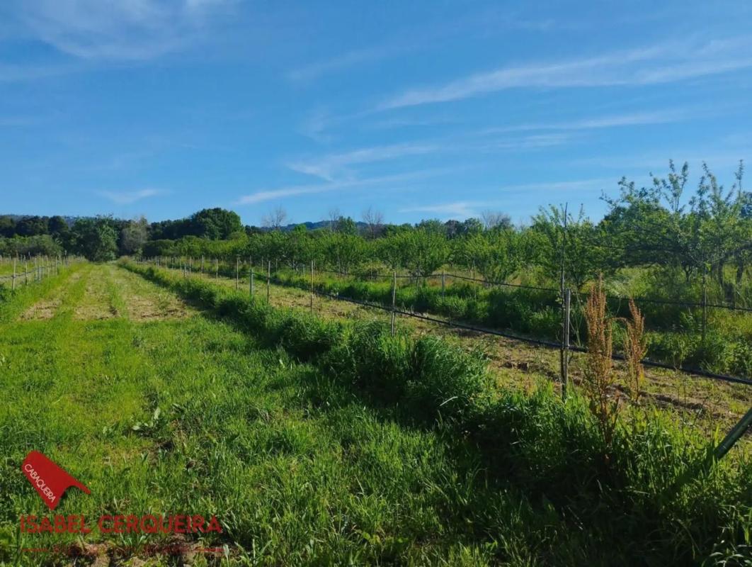 Terreno en venta en O Rosal, Pontevedra photo 3