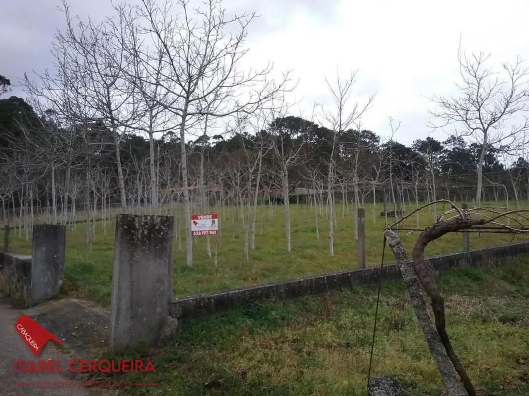 Terreno en venta en O Rosal, Pontevedra photo 3