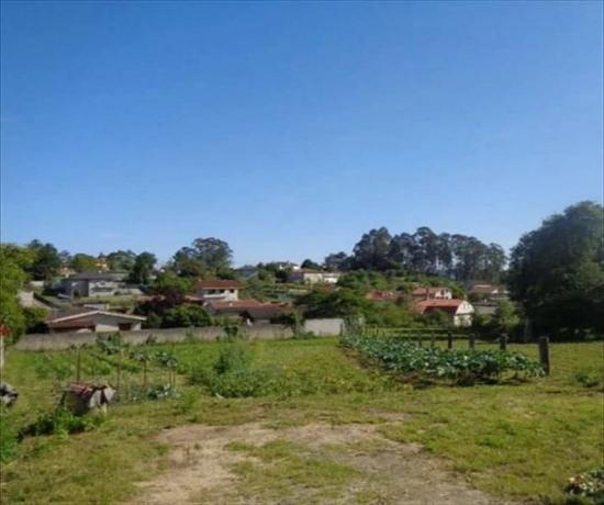 Terreno en Tomiño photo 3
