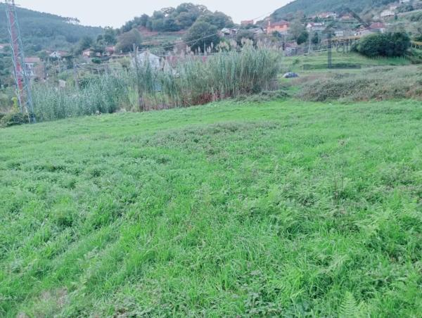 Terreno en Tomiño photo 3
