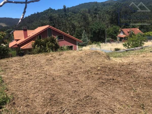 Terreno en Tomiño photo 1