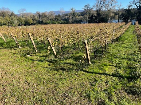Terreno en Lugar Carregal de Abaixo, 46 photo 1