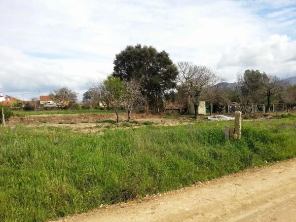 Terreno en Granxola s/n photo 2