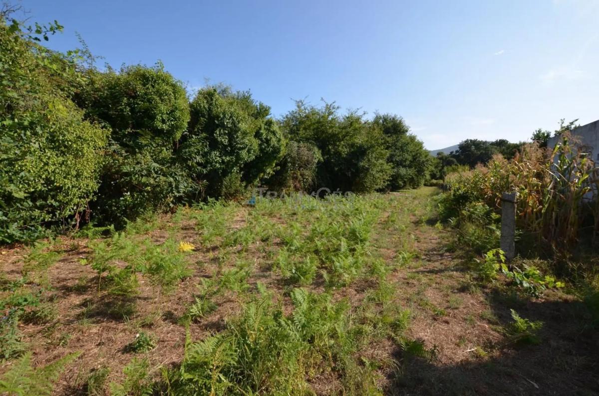 Terreno en venta en Tui, Pontevedra photo 3