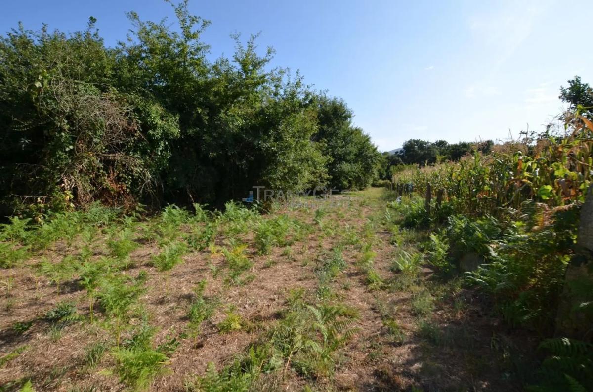 Terreno en venta en Tui, Pontevedra photo 4