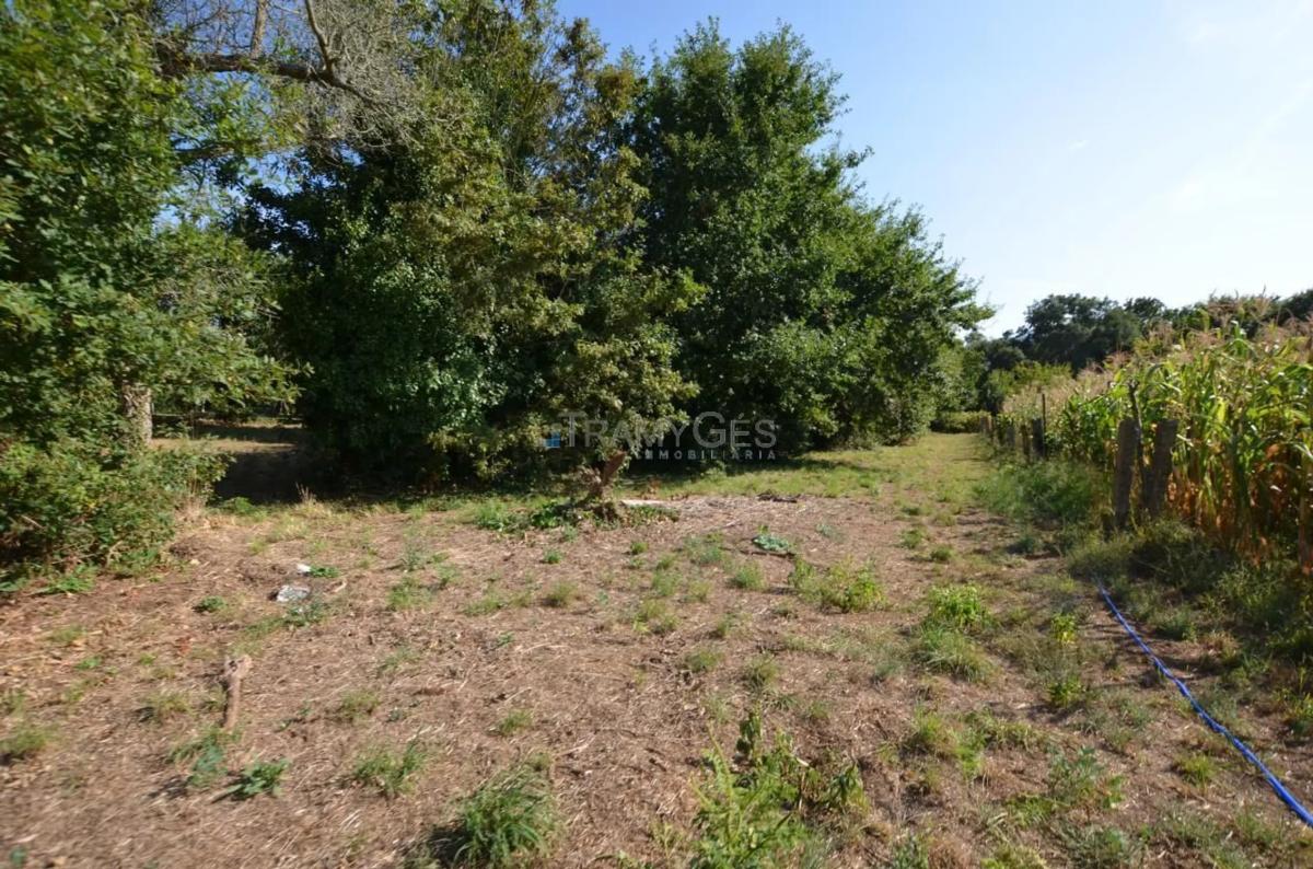 Terreno en venta en Tui, Pontevedra photo 5