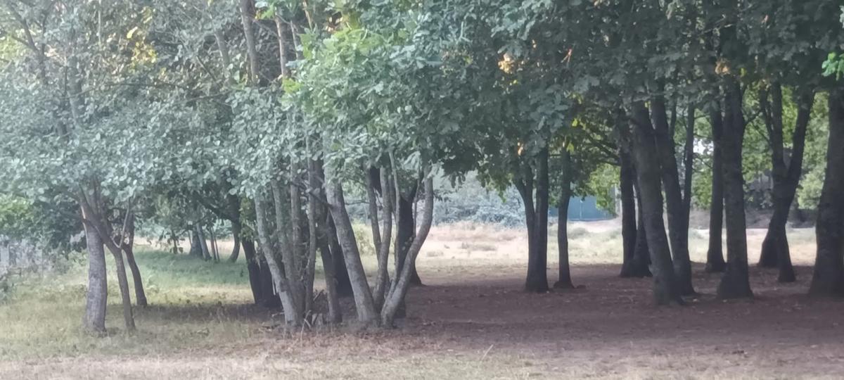 Działka na sprzedaż w Tomiño, Pontevedra photo 1