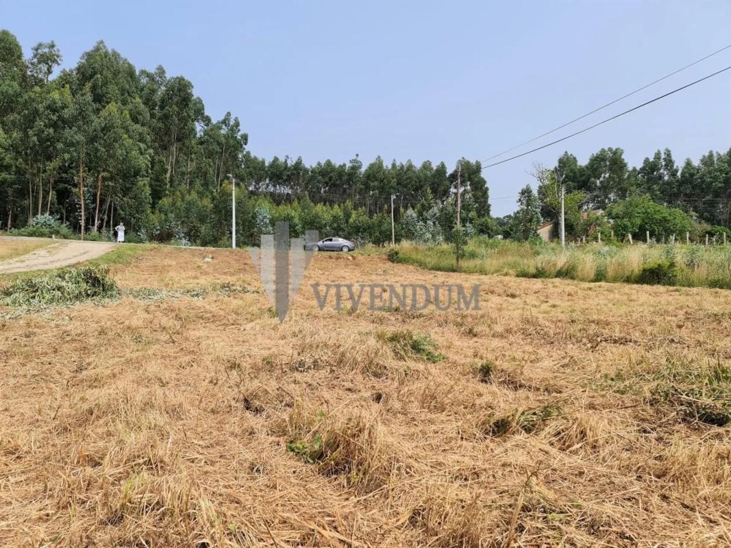 Terreno en venta en Tui, Pontevedra photo 4