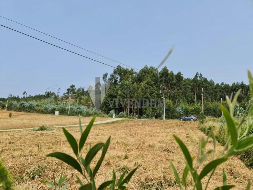 Terreno en venta en Tui, Pontevedra photo 5