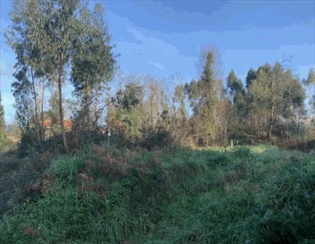 Terreno en venta en Tomiño, Pontevedra photo 4