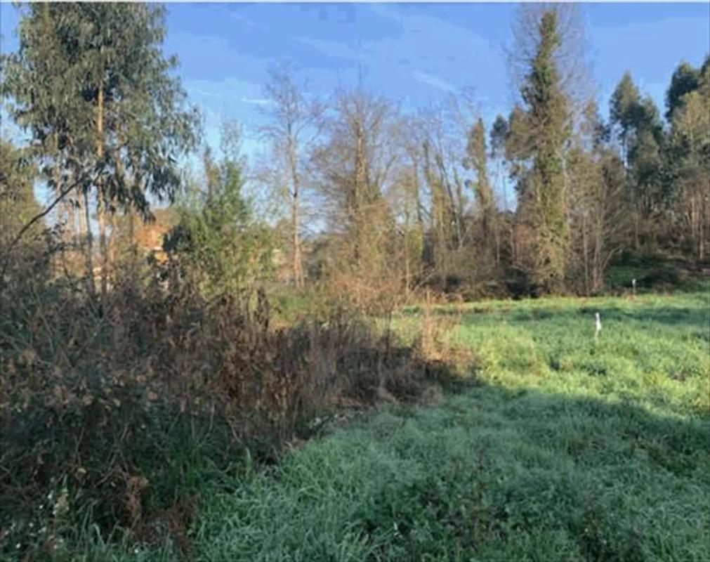 Terreno en venta en Tomiño, Pontevedra photo 5
