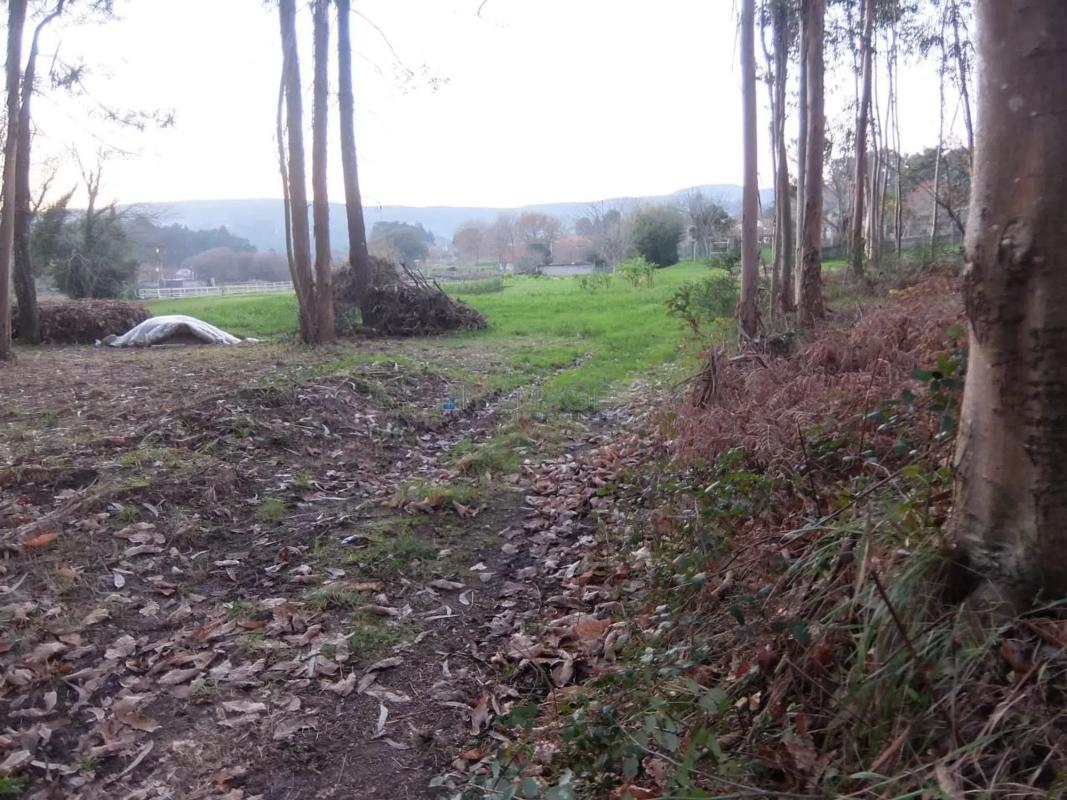 Terreno en venta en Tomiño, Pontevedra photo 2