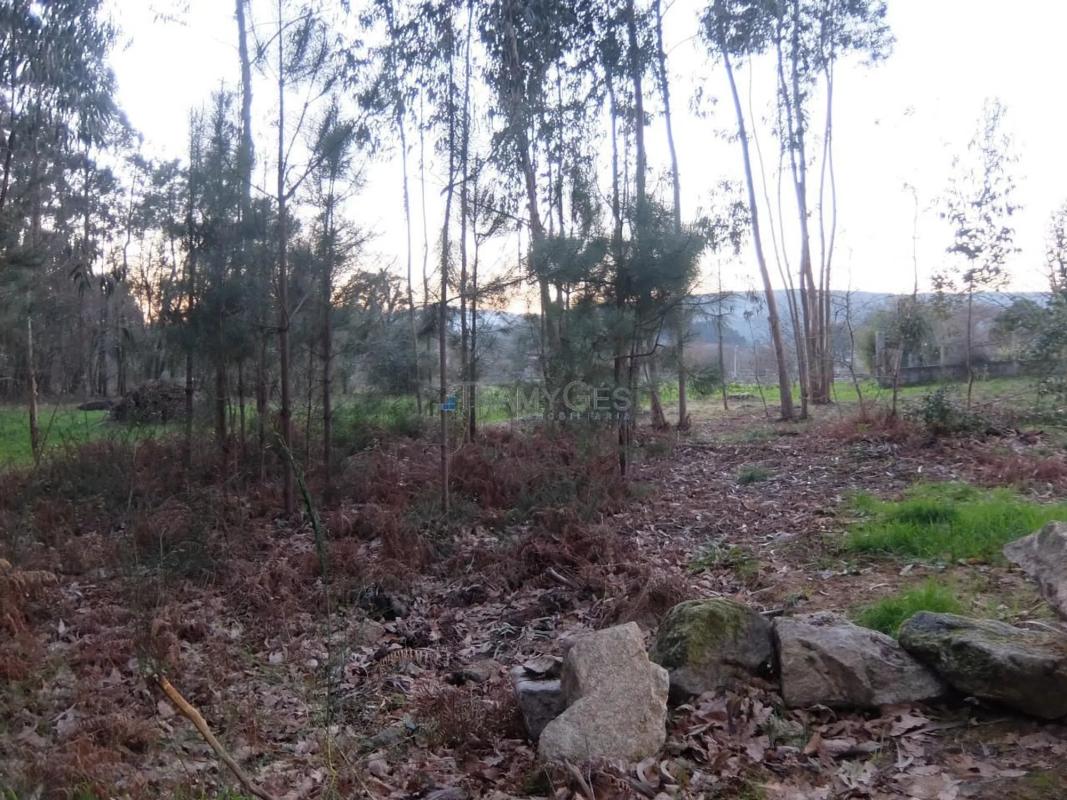 Terreno en venta en Tomiño, Pontevedra photo 3
