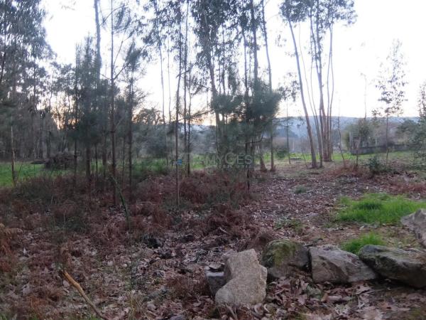 Terreno en Tomiño thumbnail 2