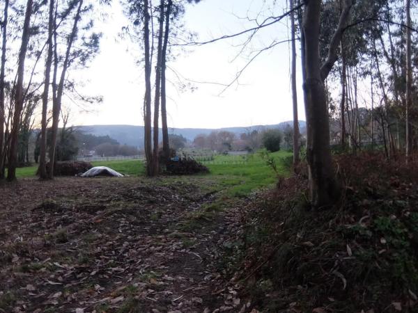 Terreno en Tomiño photo 4