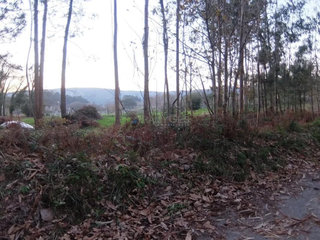 Terreno en venta en Tomiño, Pontevedra photo 5