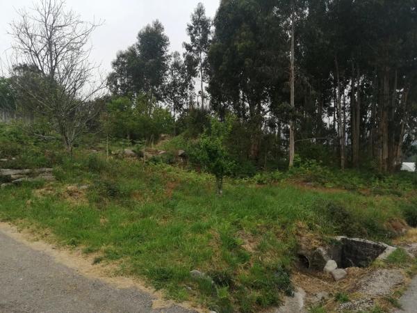 Terreno en Po-353, km 0 photo 1